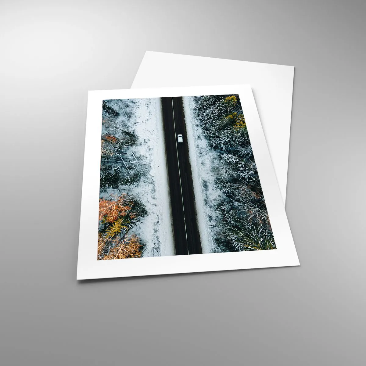 Pôster - Cortar a floresta no inverno - 40x50 cm