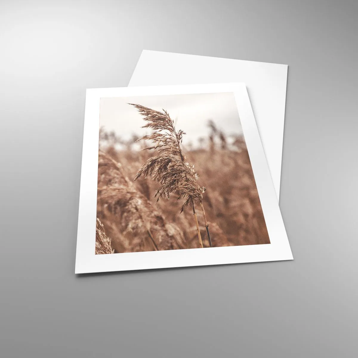 Plakát - Na polích už je podzim - 40x50 cm