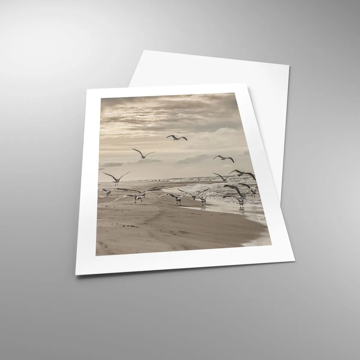 Plakat - Havet brummer, fuglene synger - 40x50 cm