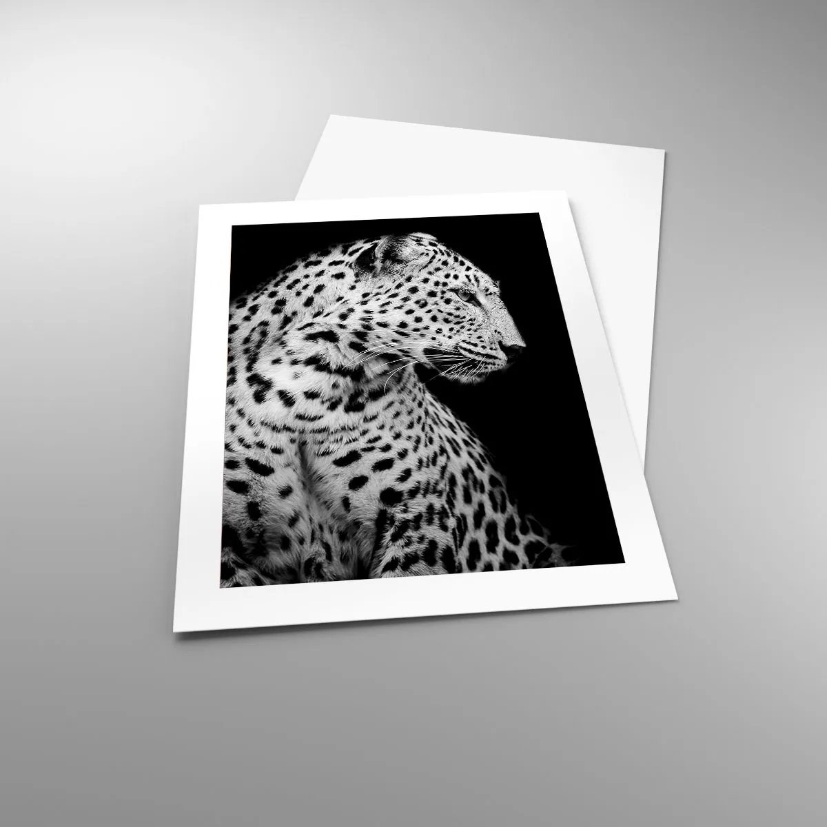 Affisch - Perfekt höger profil! - 40x50 cm