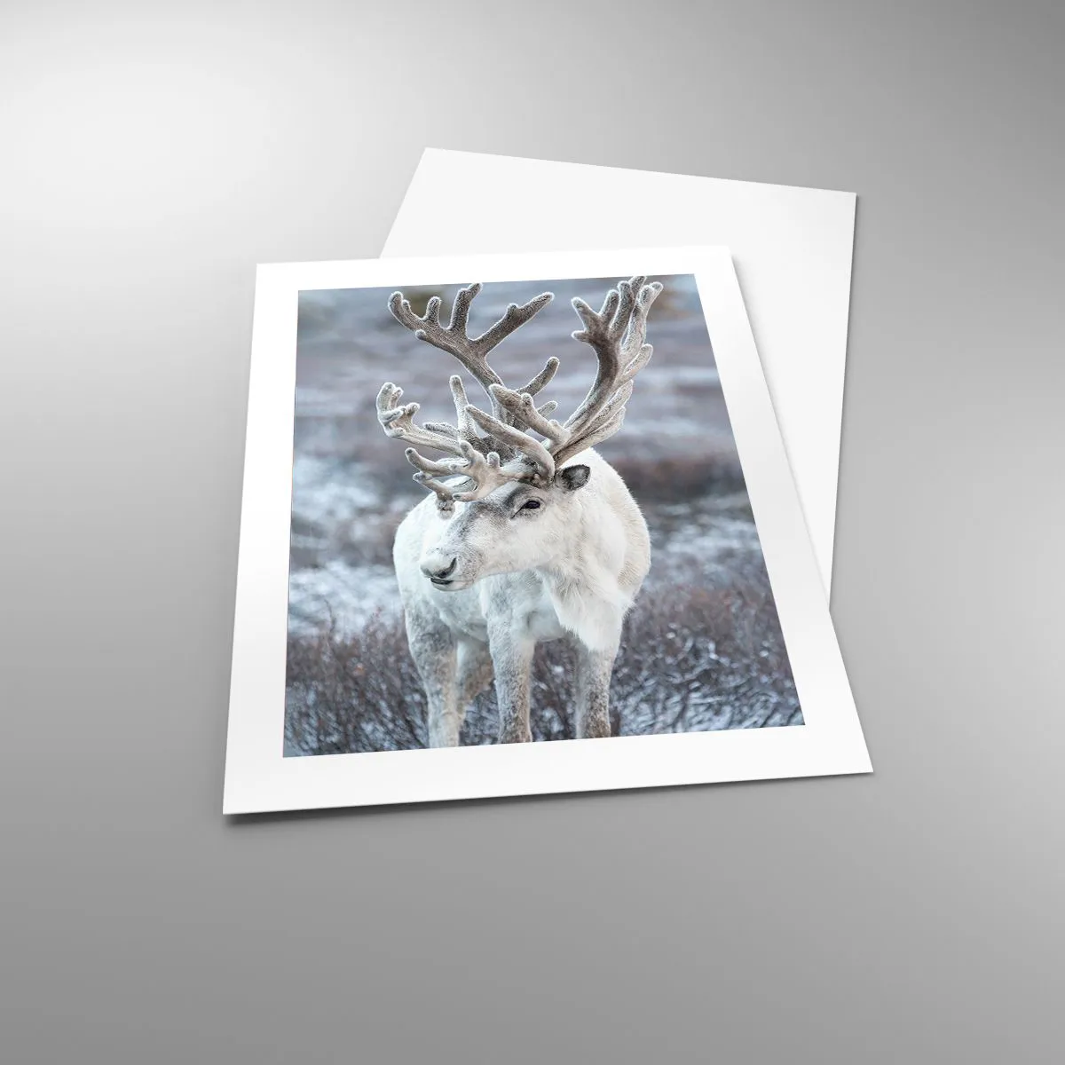 Poster - Portrait in the Sun - 40x50 cm