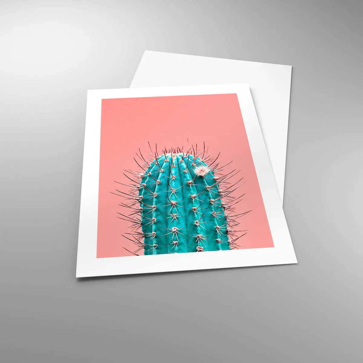 Affiche - Poster - Juste regarde - 40x50 cm