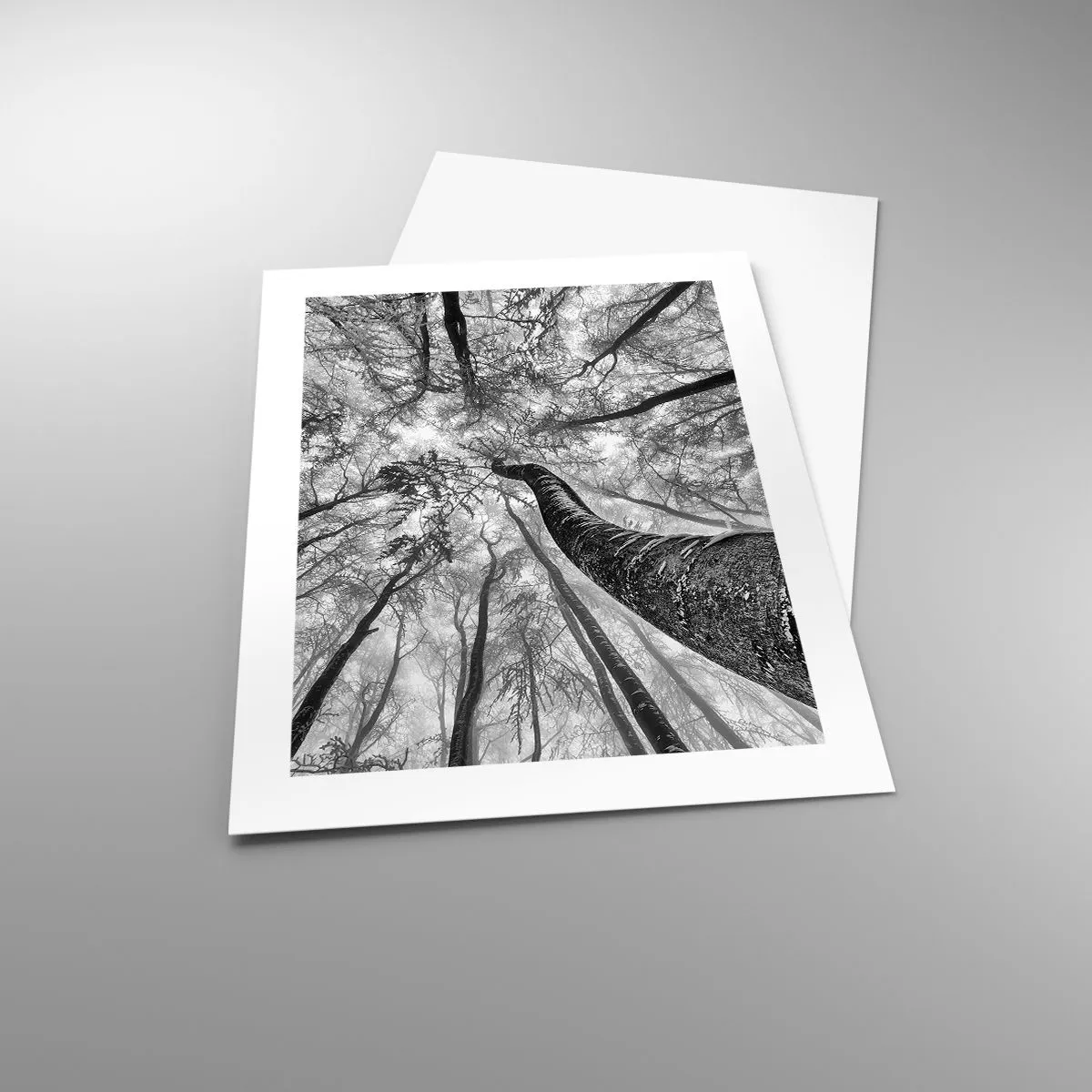 Plakat - Kapløb mod lyset - 40x50 cm