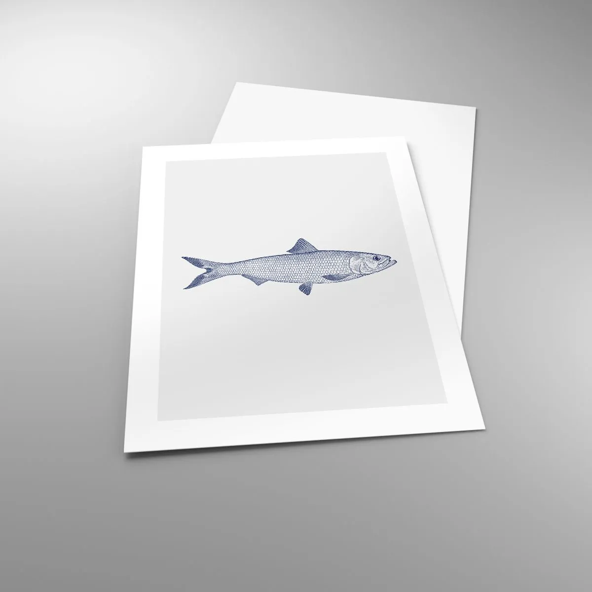 Plakat - Pozdrowienia z północnych mórz - 40x50 cm