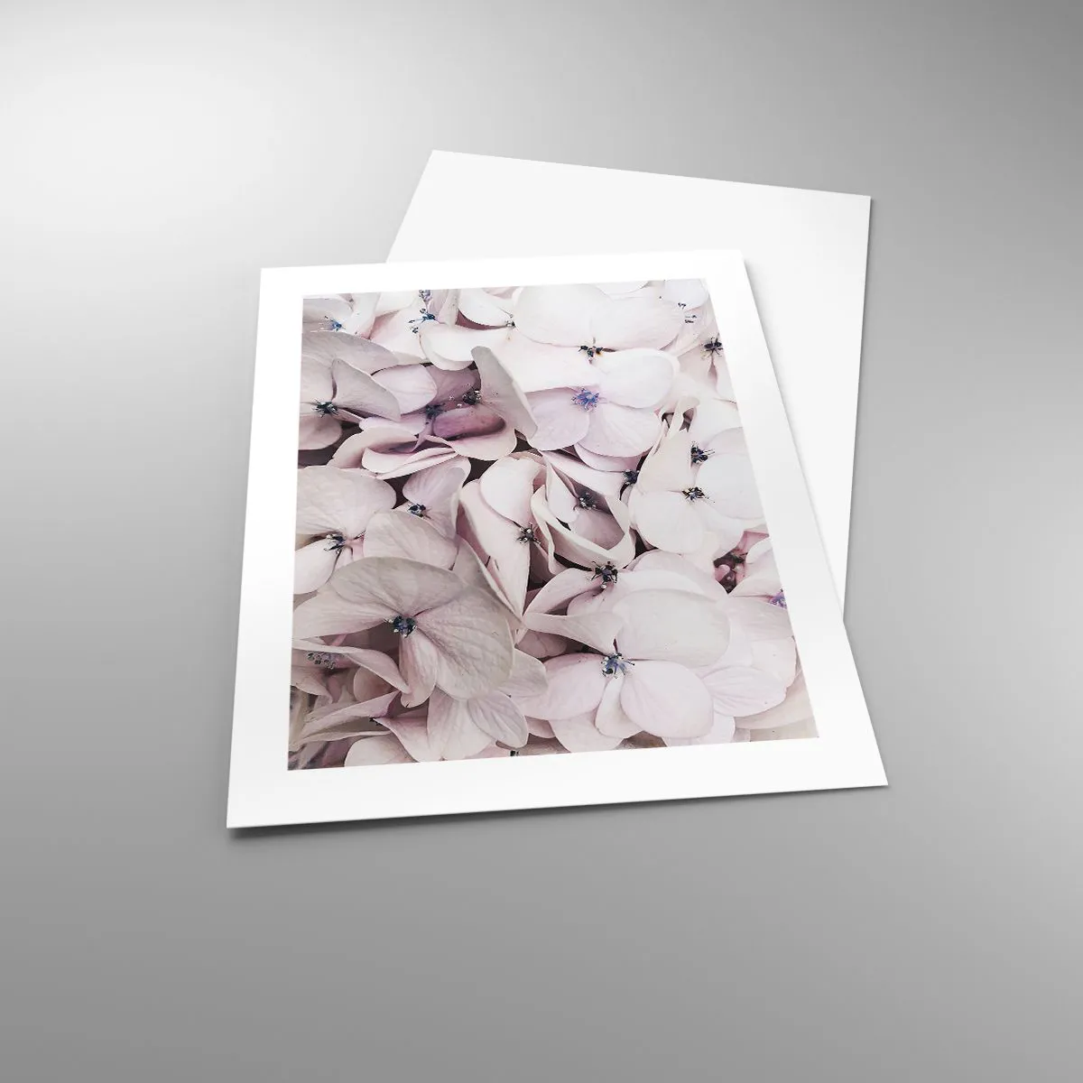 Poster - In einer Blumenflut - 40x50 cm