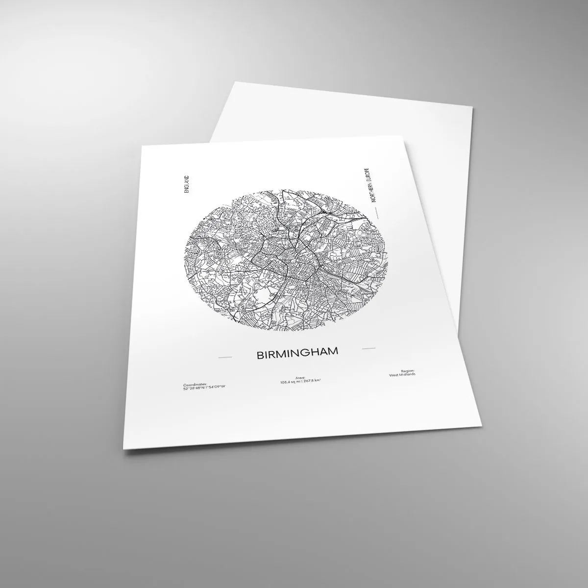 Poster - Anatomie von Birmingham - 40x50 cm