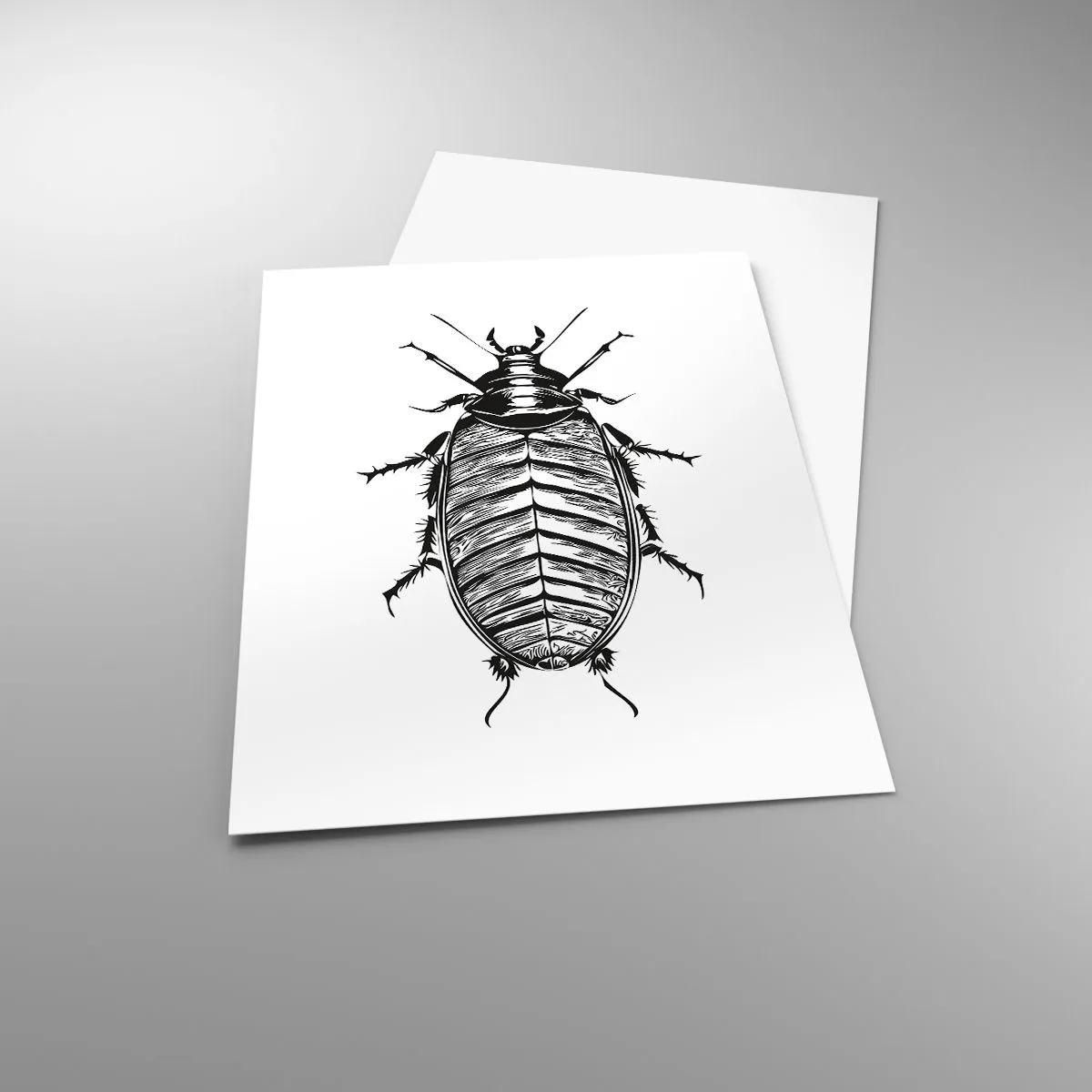 Poster - Wat een exemplaar! - 40x50 cm