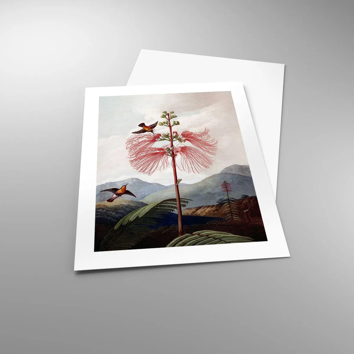 Poster - In a Tropical Paradise - 40x50 cm