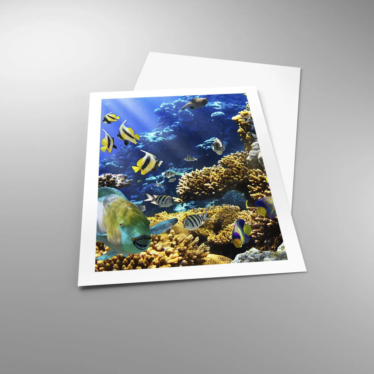Affiche - Poster - Un monde sous-marin avec des poissons colorés et un récif de corail - 50x70cm - Beaucoup de circulation sur la route des vacances - Décoration murale moderne pour le salon et la chambre ARTTOR