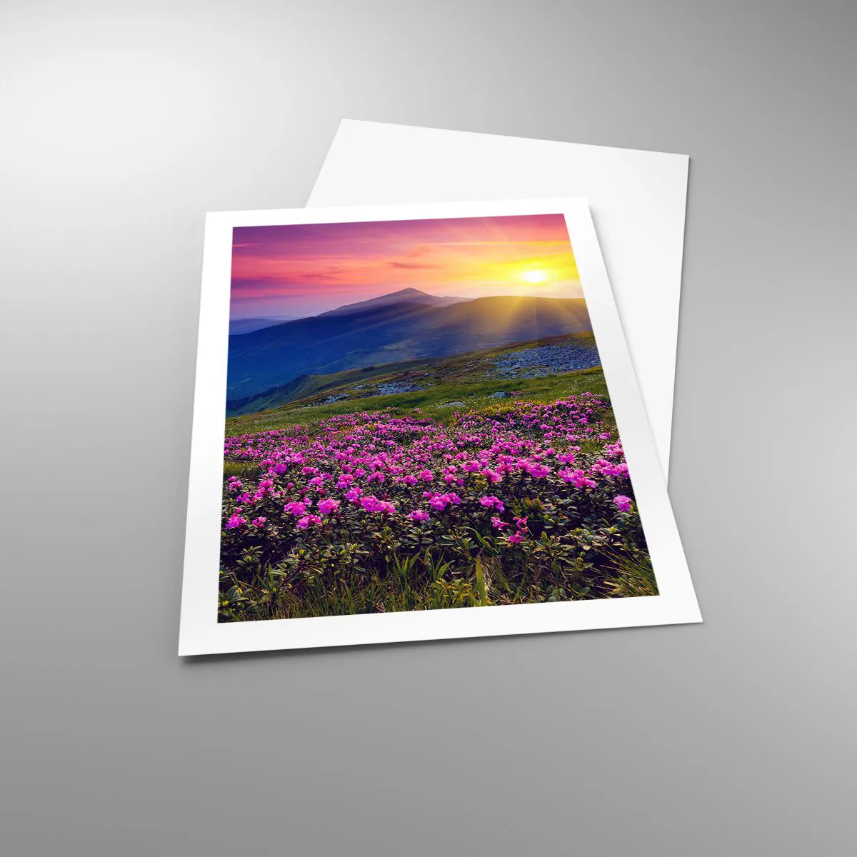 Poster - ... Și peste tot în jur se simte un miros de jneapăn și parfum de ierburi... - 50x70 cm