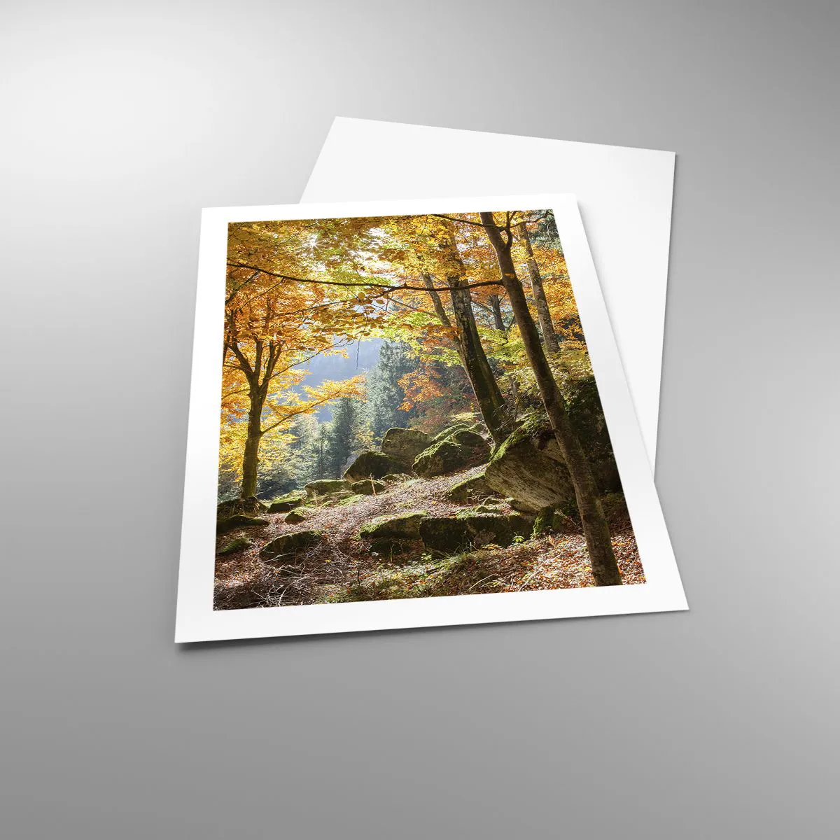 Plakat - Jesienny las z promieniami słońca i kamieniami porośniętymi mchem - 50x70cm - Czas na odpoczynek - Nowoczesna dekoracja ścienna do salonu, kuchni i sypialni ARTTOR