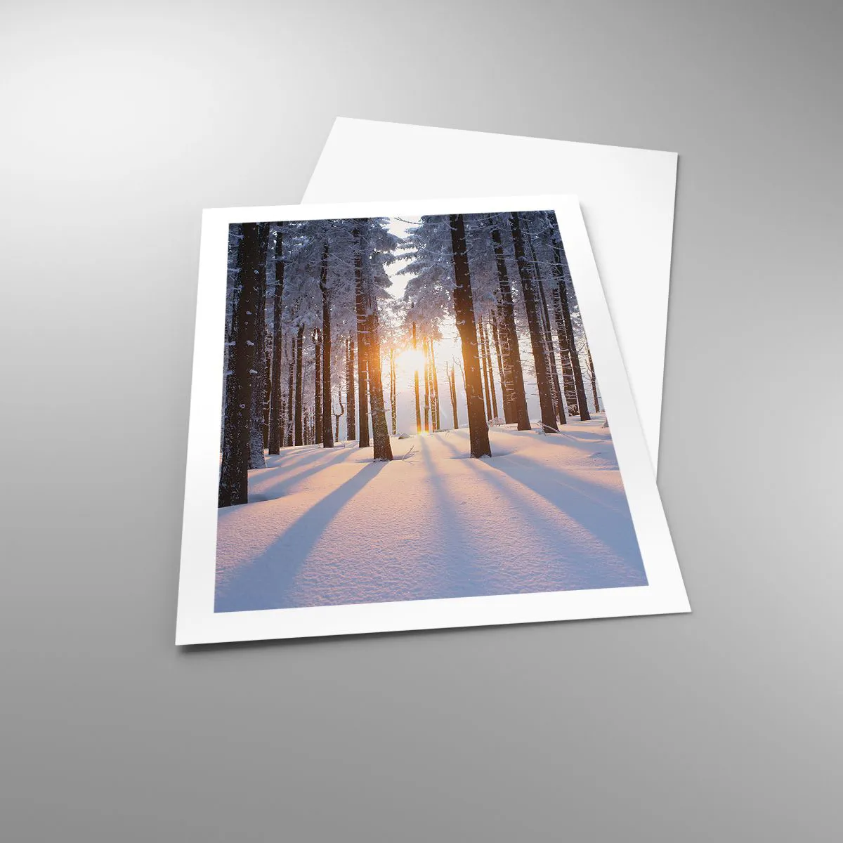 Plakat - Klart i sort og hvidt - 50x70 cm