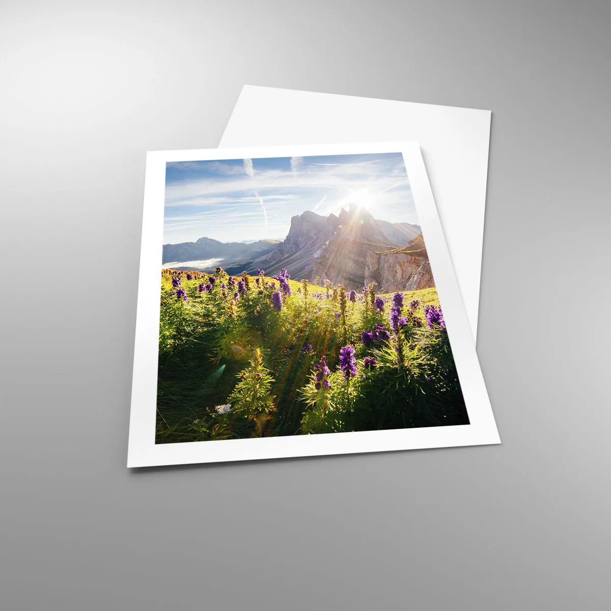 Plagát - Tajomný život bylín - 50x70 cm