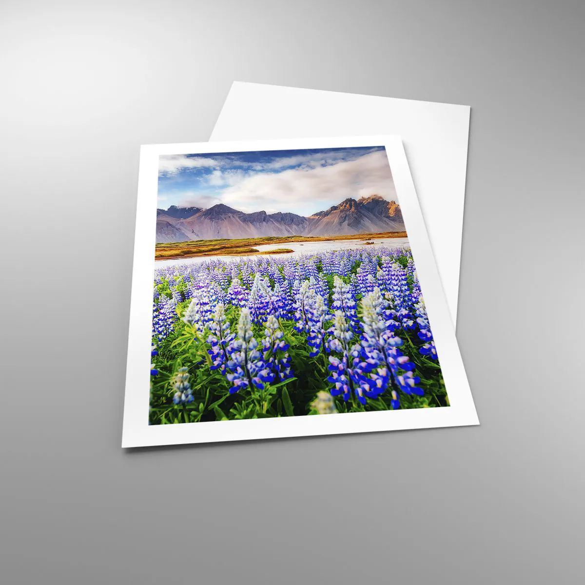 Poszter - Erő és szigorúság a szelídség mellett - 50x70 cm