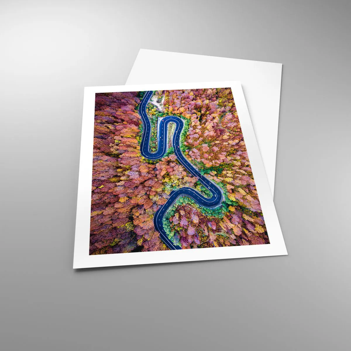 Affiche - Poster - Une route sinueuse dans une forêt d'automne vue à vol d'oiseau - 50x70cm - Route sinueuse à travers la forêt - Décoration murale moderne pour le salon et la chambre ARTTOR
