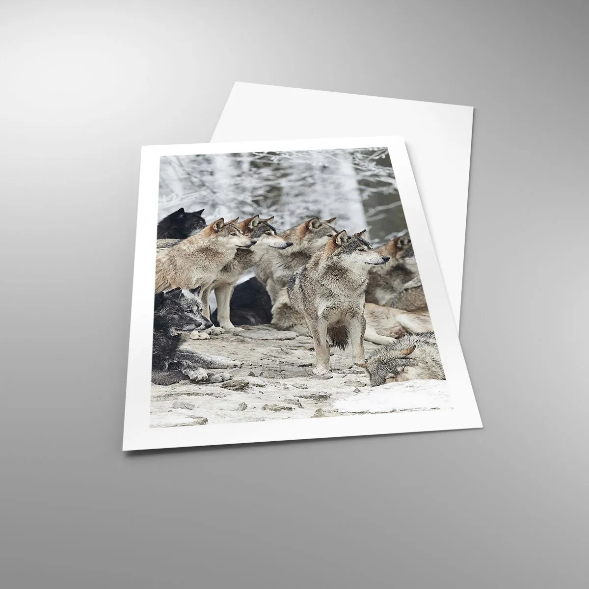 Poster - Familie și prieteni - 50x70 cm