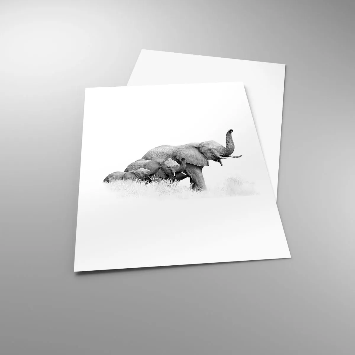 Poster - Een twee drie - 50x70 cm