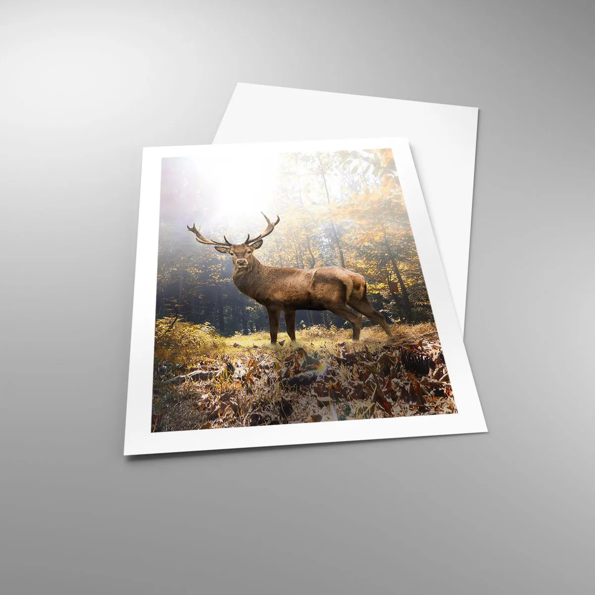 Affiche - Poster - Un cerf dans une forêt éclairée par la lumière du soleil - 50x70cm - Toute sa majesté - Décoration murale moderne pour le salon et la chambre ARTTOR