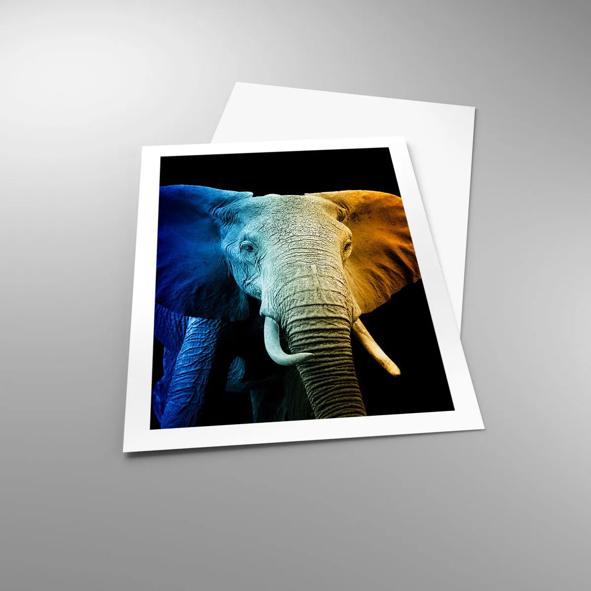 Póster - Una imagen colorida de un elefante sobre un fondo negro. - 50x70cm - Excéntrico, no un bicho raro - Decoración de pared moderna para salón y dormitorio ARTTOR