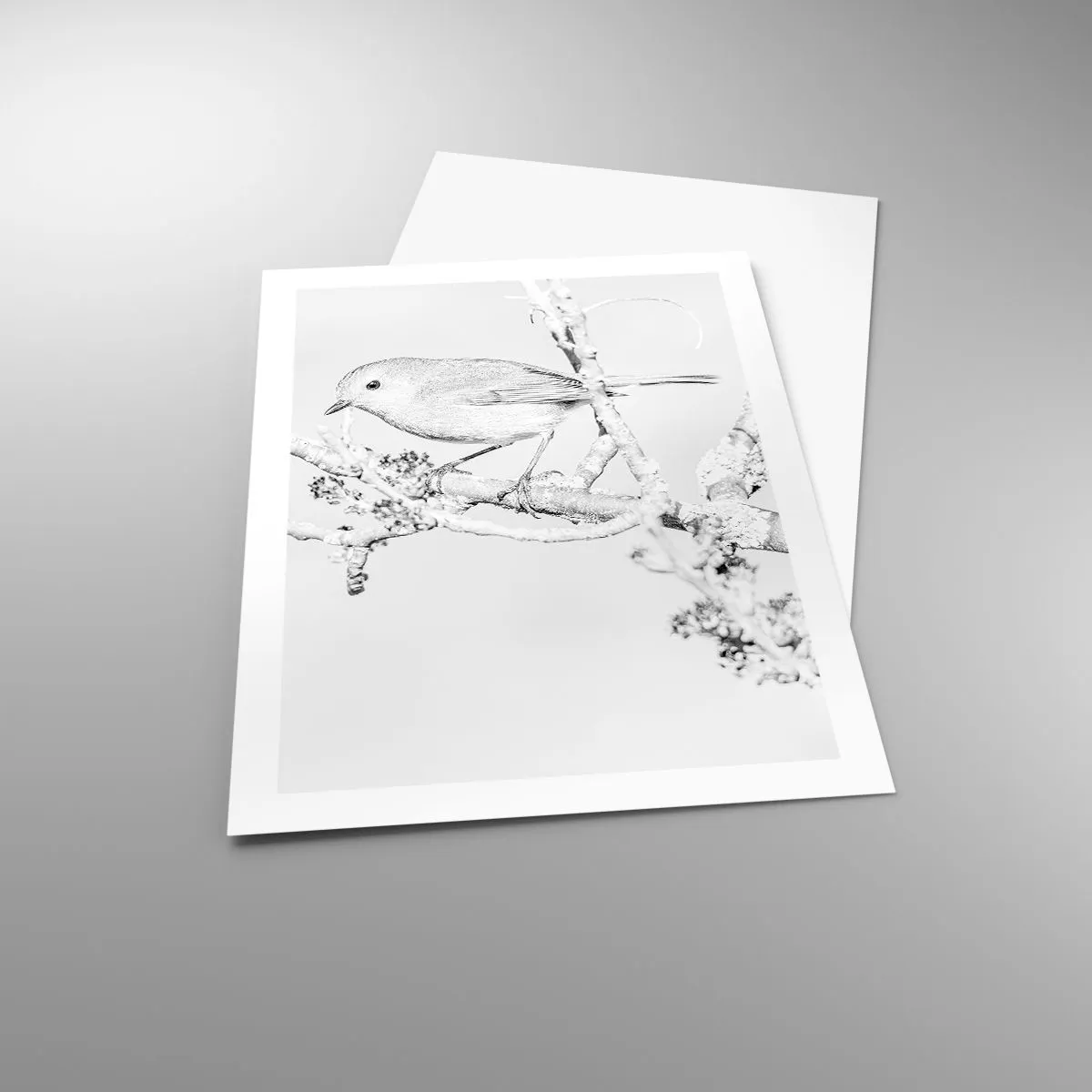 Poster - Schwarz-weiße Zeichnung eines Vogels auf einem Ast - 50x70cm - Wintermorgen - Moderne Wanddekoration für Wohnzimmer und Schlafzimmer ARTTOR