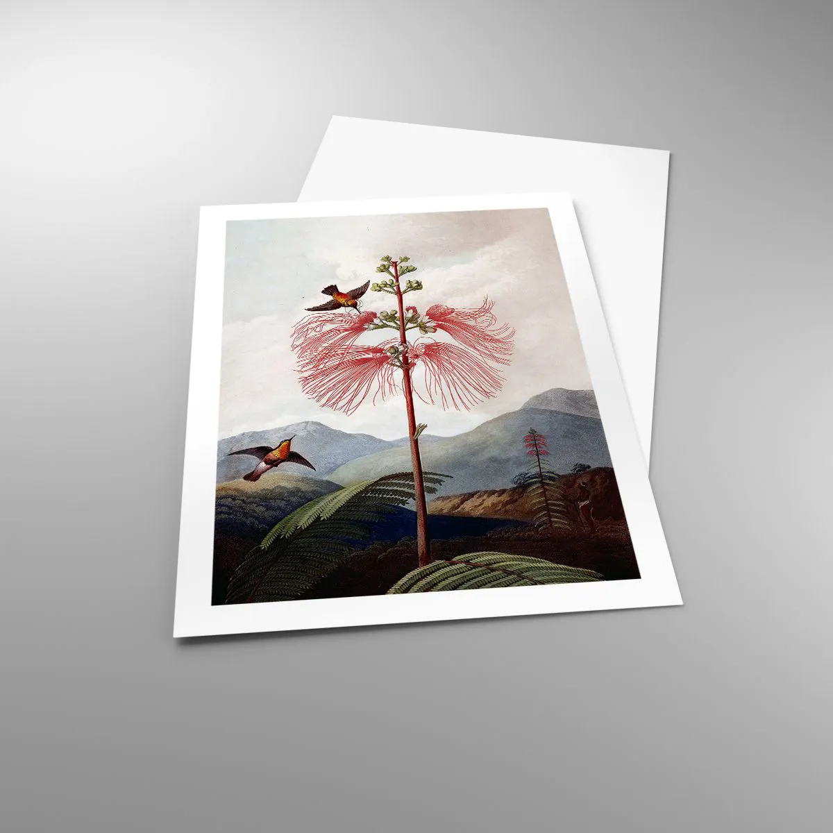 Pôster - Em um paraíso tropical - 50x70 cm