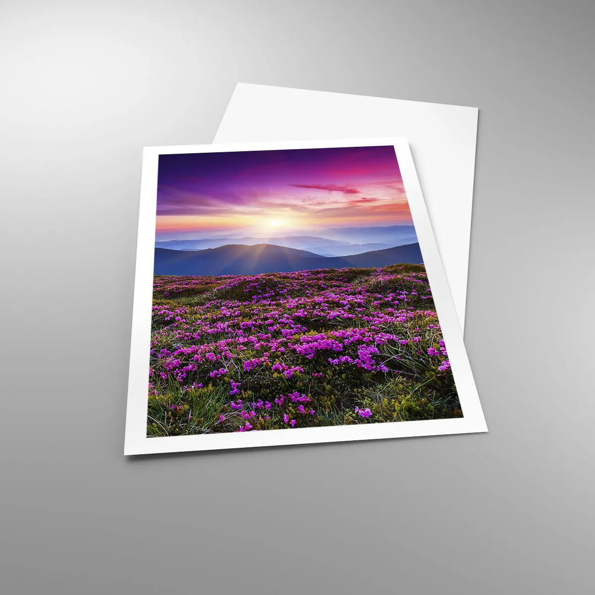 Plakat - Urter duftede friske bundter fra niw - 61x91 cm