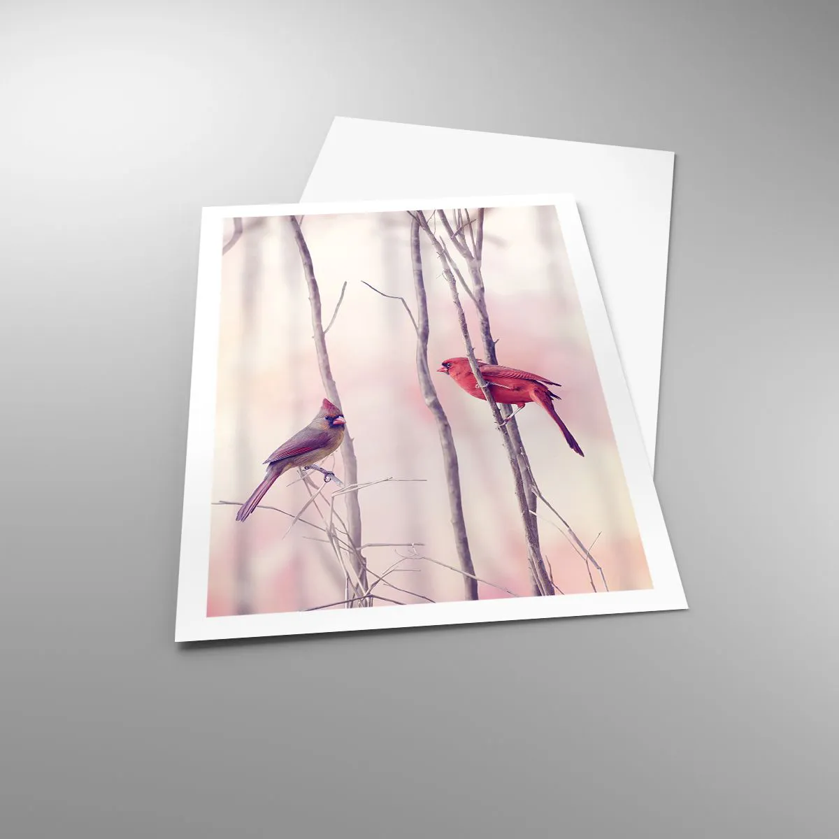 Plakat - Fortællingen om den lyserøde skov - 61x91 cm