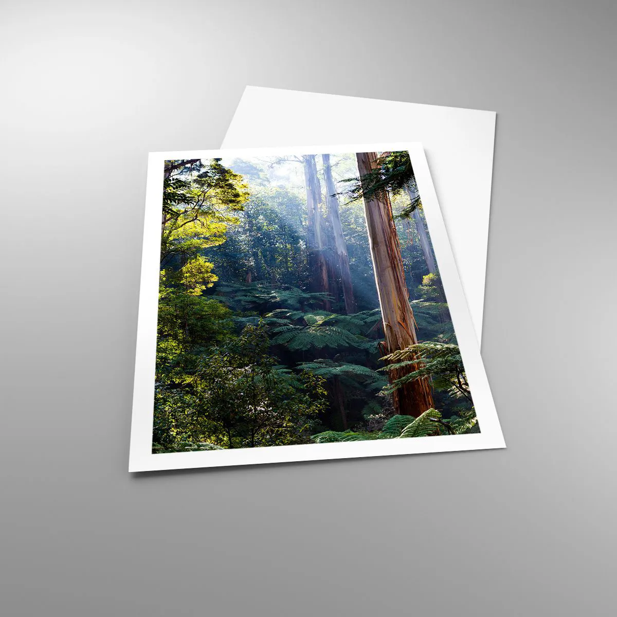 Poszter - Erdei mese - 61x91 cm