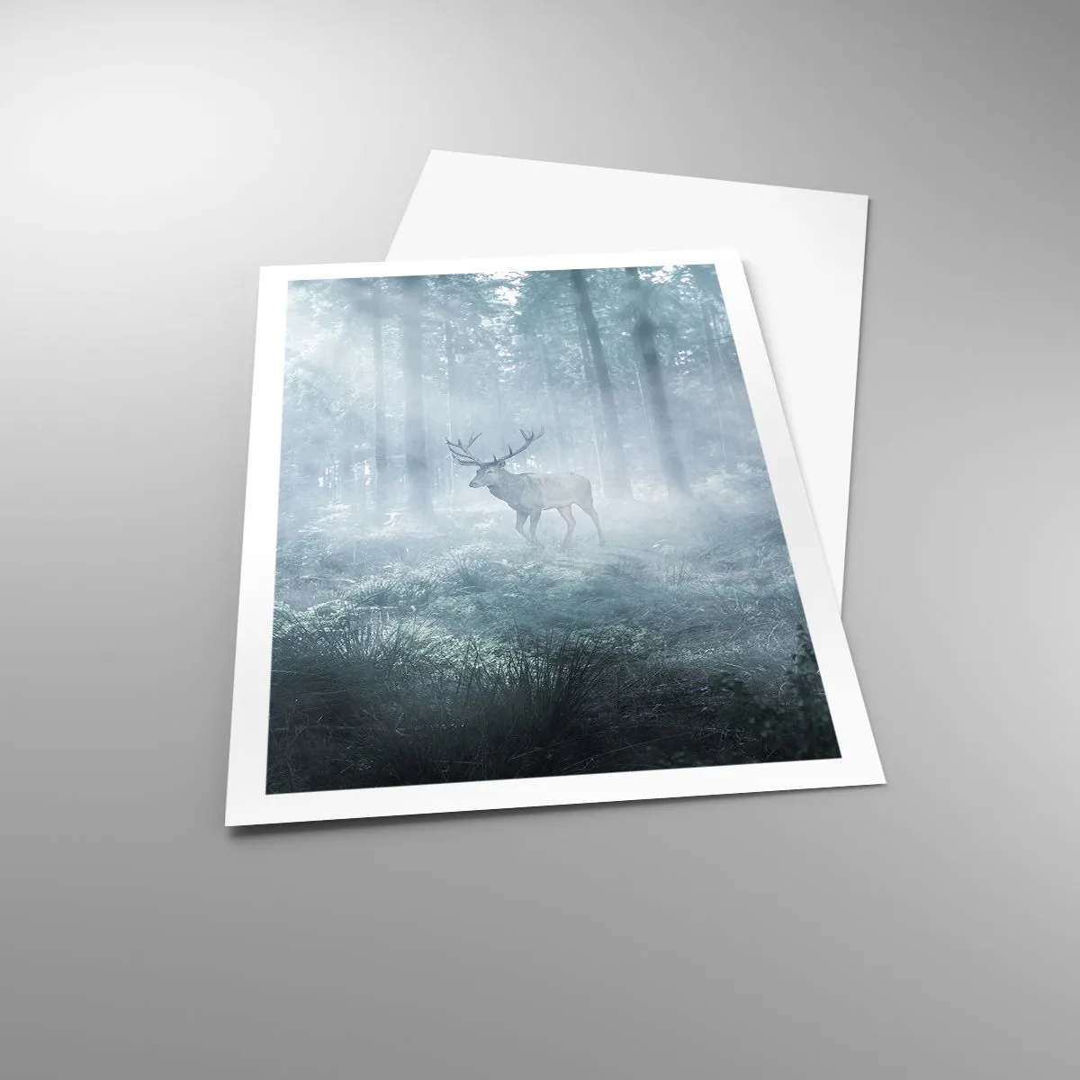 Poster - Morgenvisite auf dem Grundstück - 61x91 cm