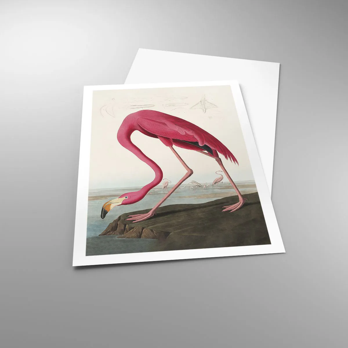 Affisch - Underlig varelse - 61x91 cm