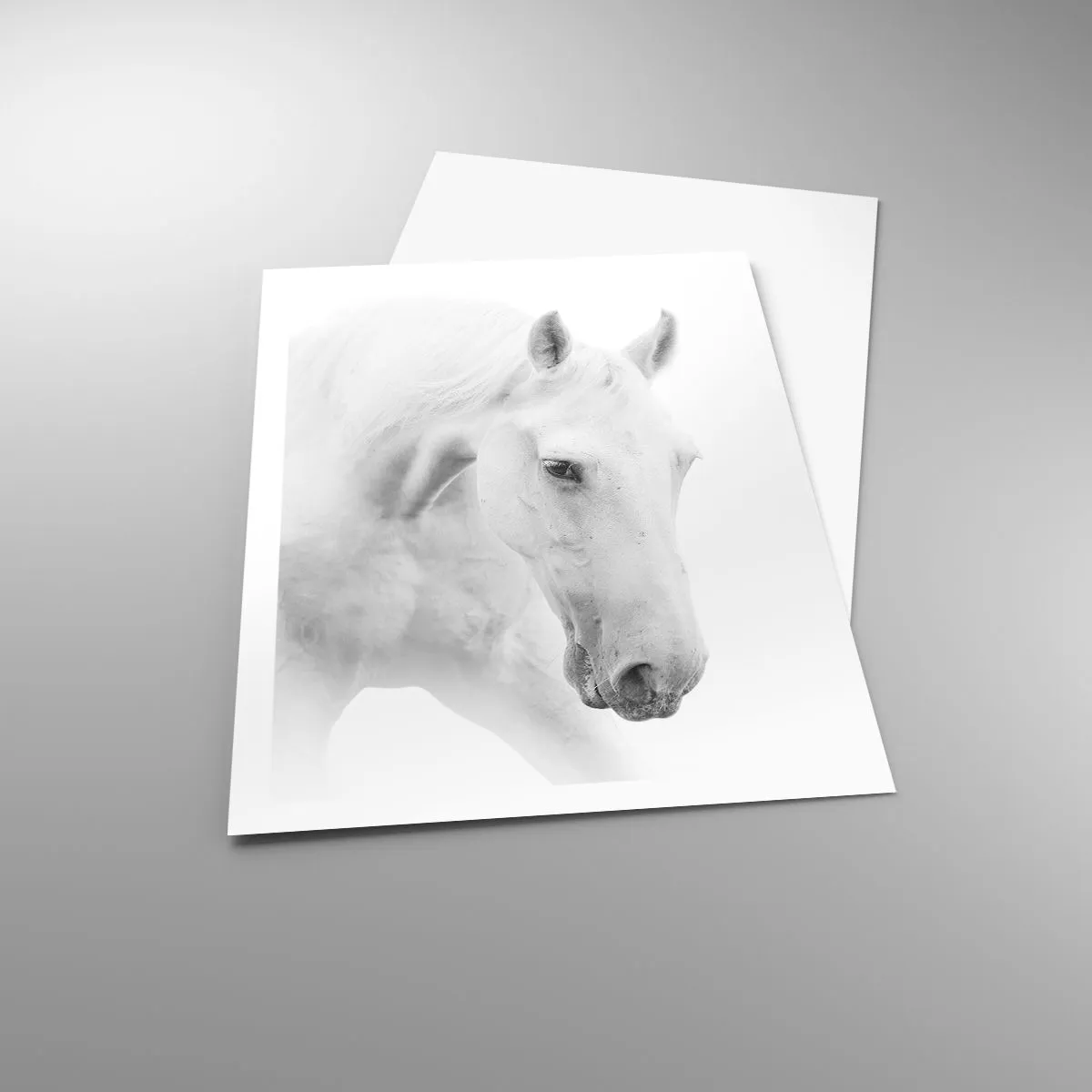 Poster - Ist das Freundschaft...? - 61x91 cm