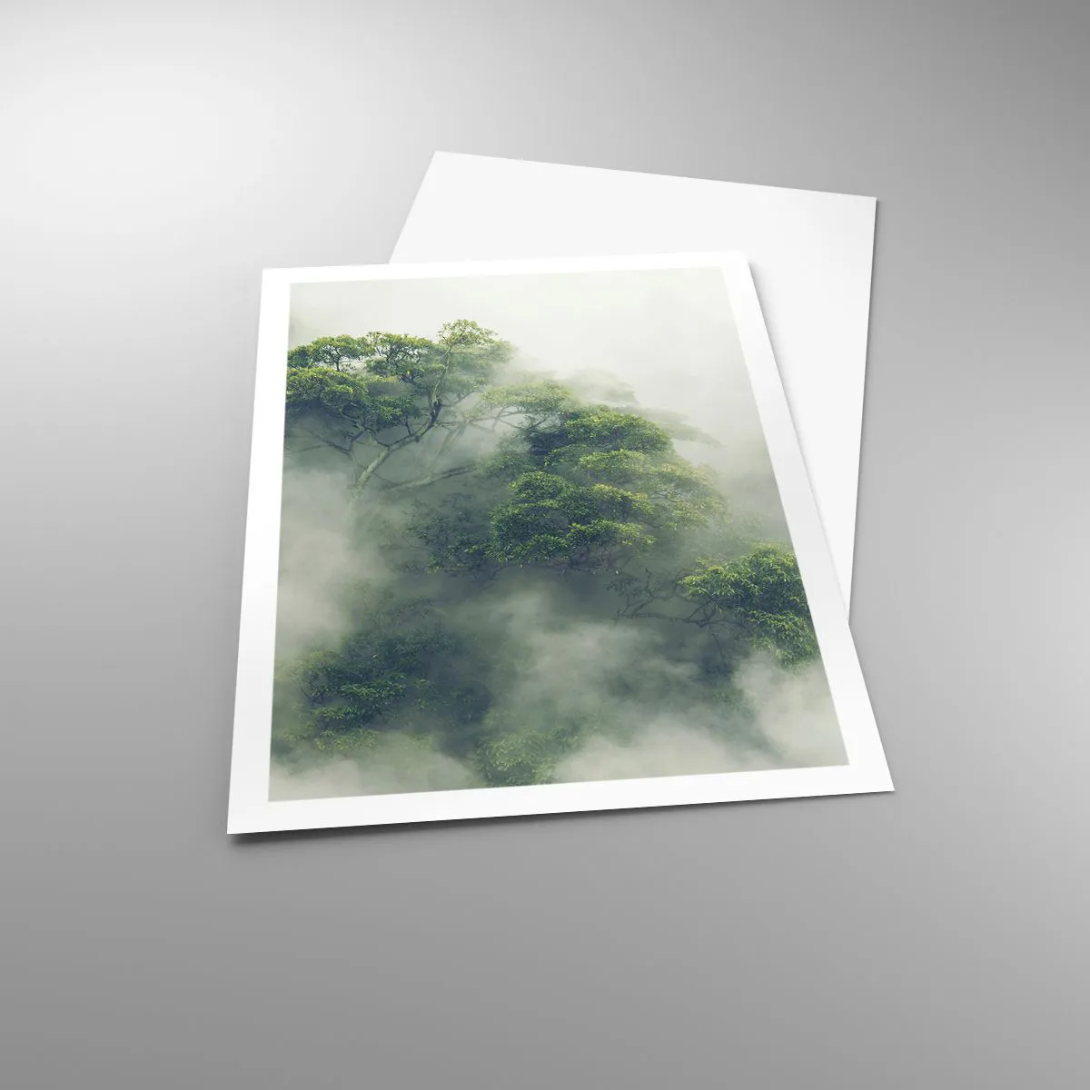 Affiche - Poster - Enveloppé de brouillard - 61x91 cm