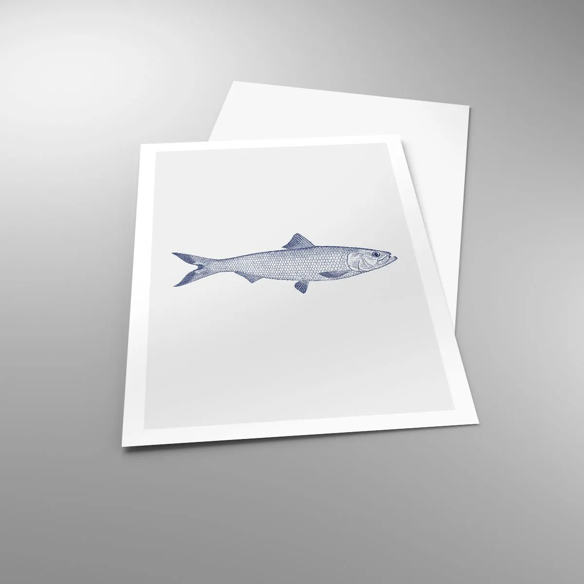 Plakat - Pozdrowienia z północnych mórz - 61x91 cm