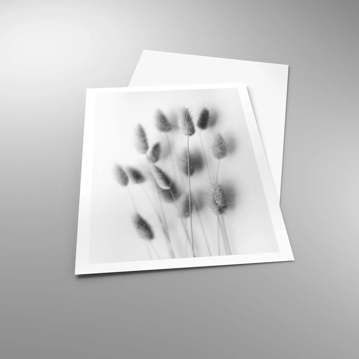 Affisch - Fluffigt gräs - 61x91 cm