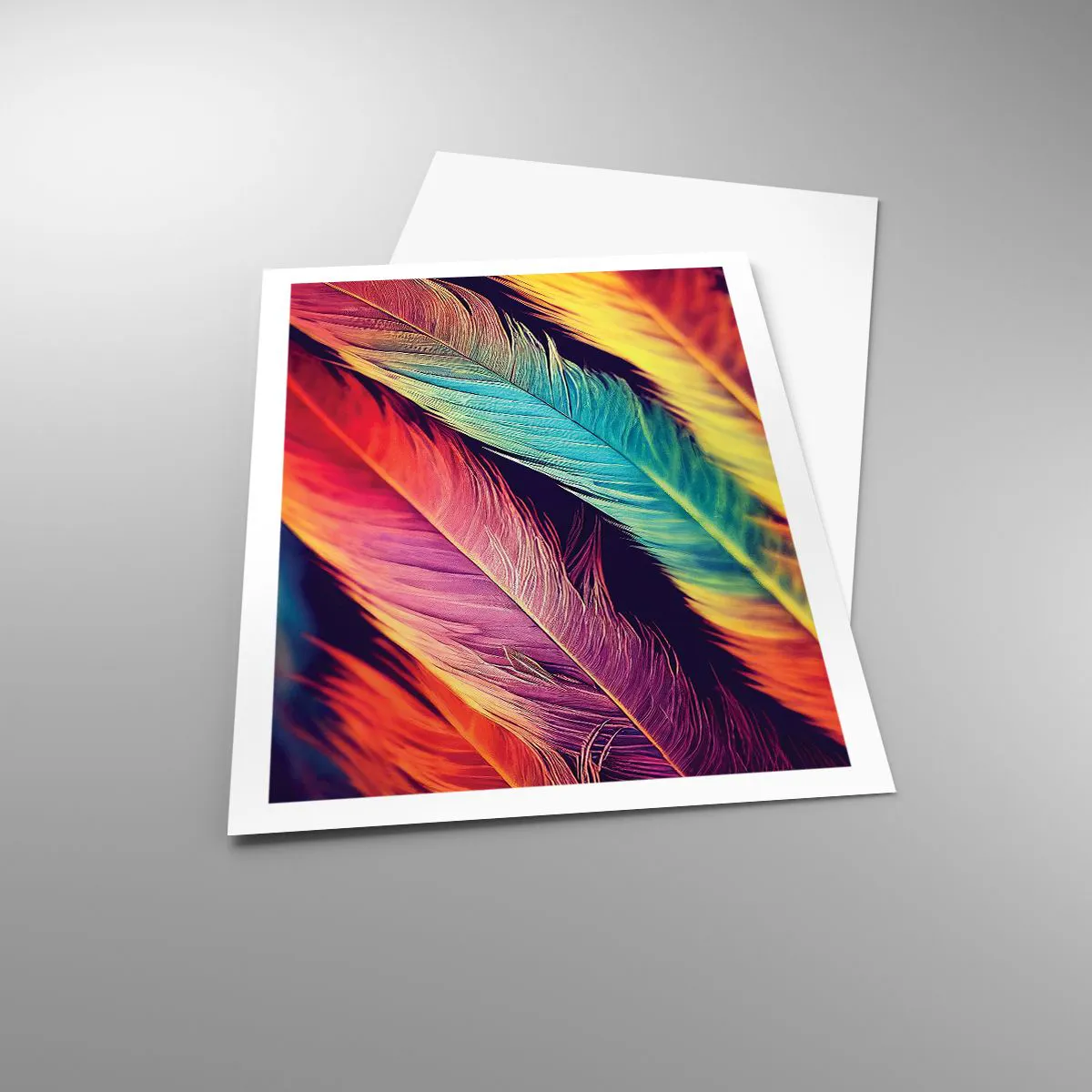 Affiche - Poster - Arc-en-ciel de plumes - 61x91 cm