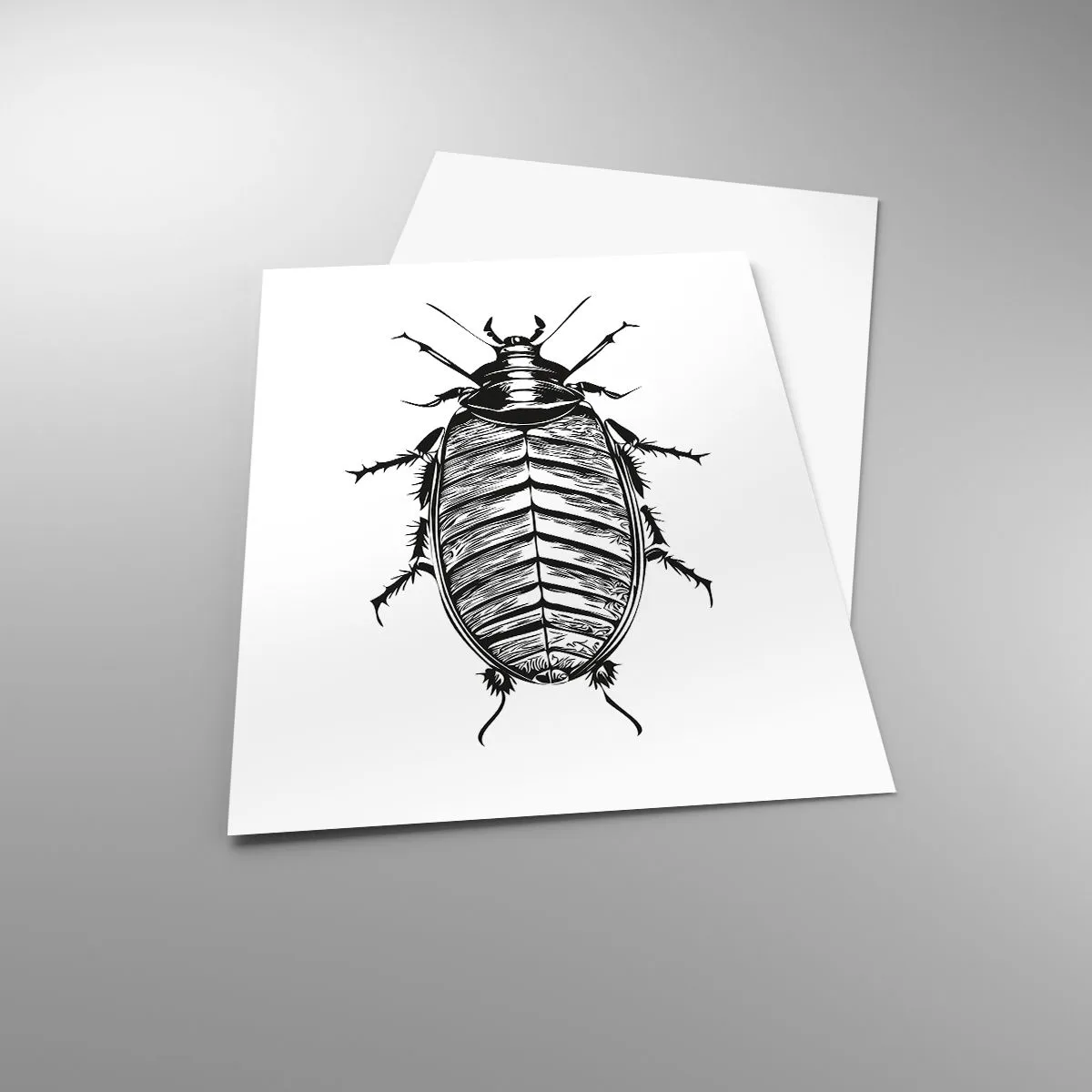 Poster - What a Specimen - 61x91 cm