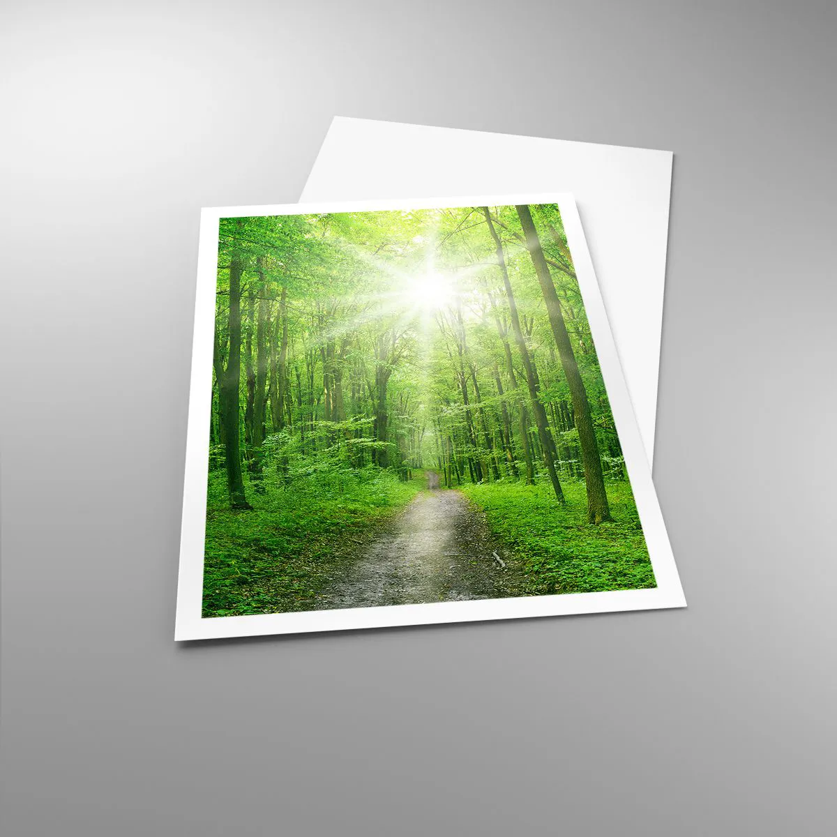 Pôster - Catedral Verde - 70x100 cm