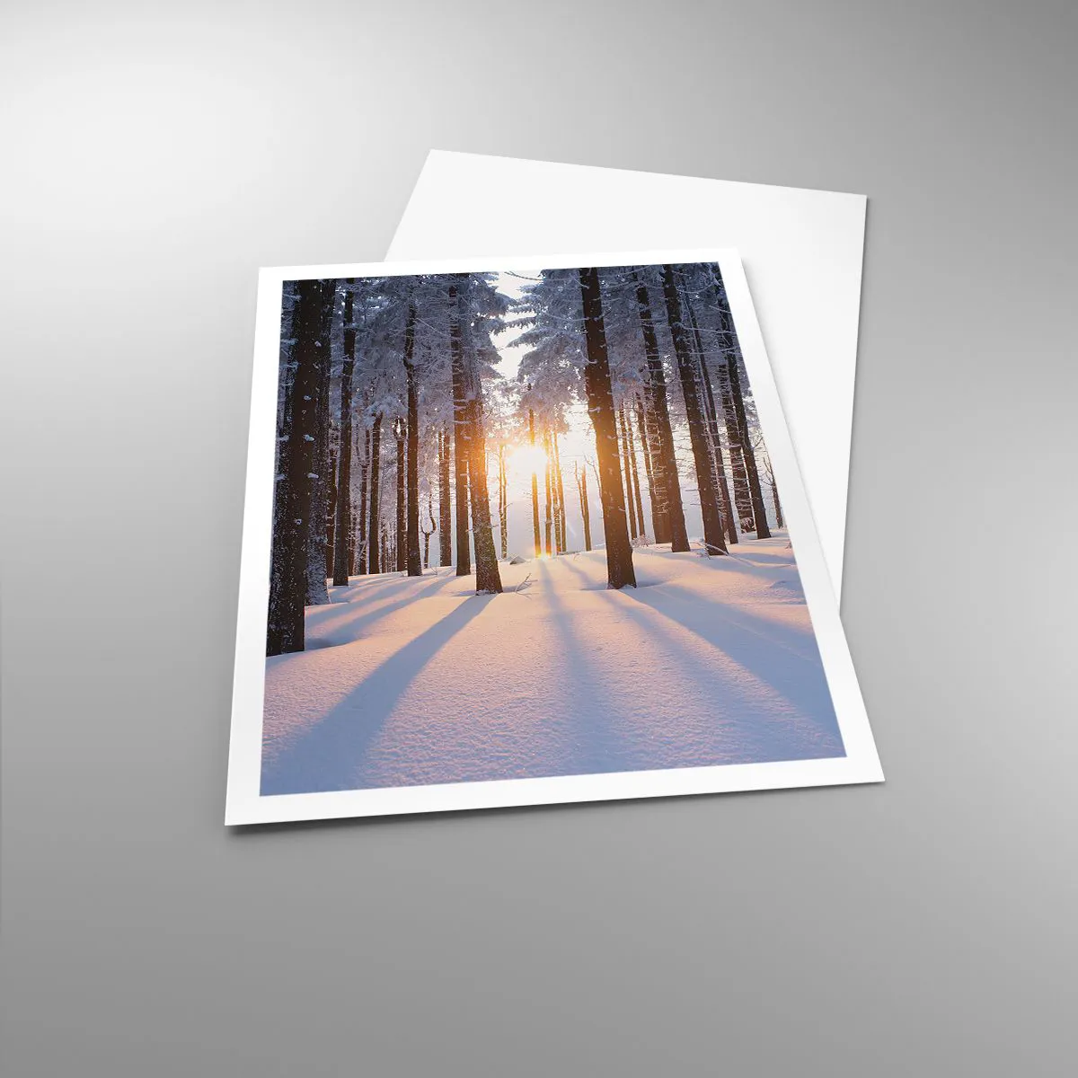 Plakat - Klart i sort og hvidt - 70x100 cm