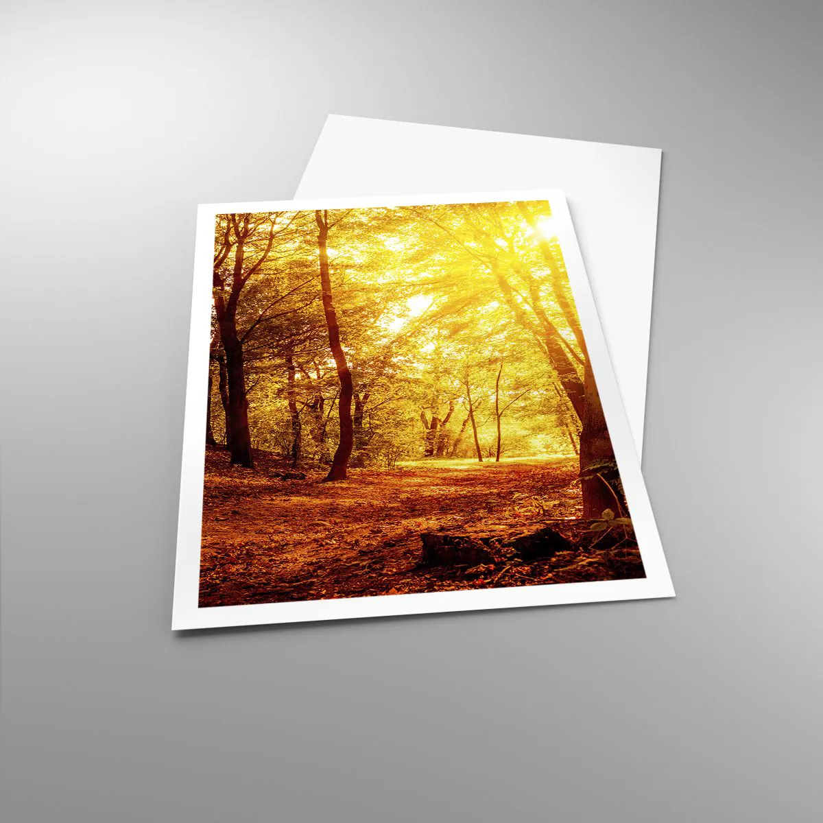 Poszter - Az arany tisztás felé - 70x100 cm