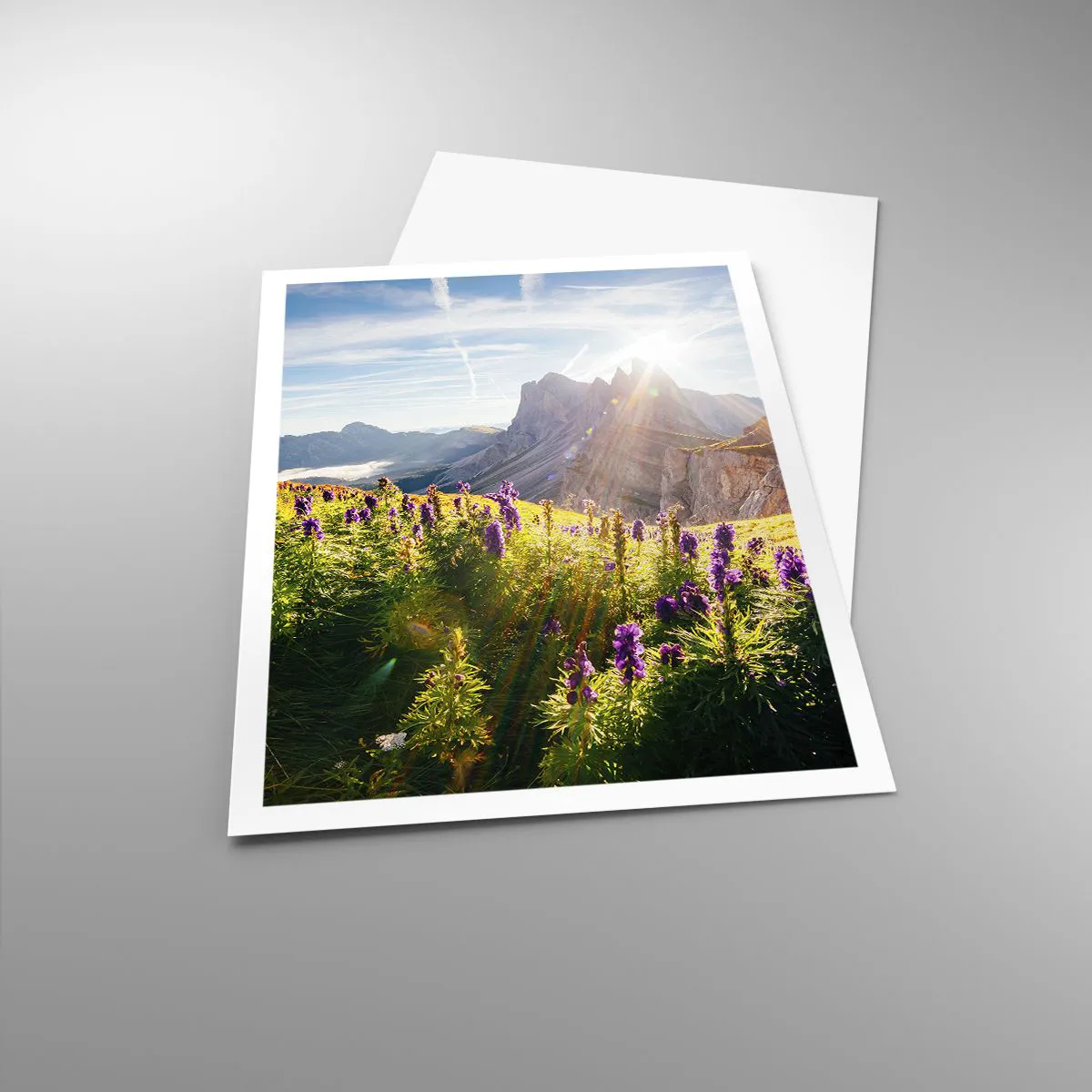 Plakat - Sekretne życie ziół - 70x100 cm