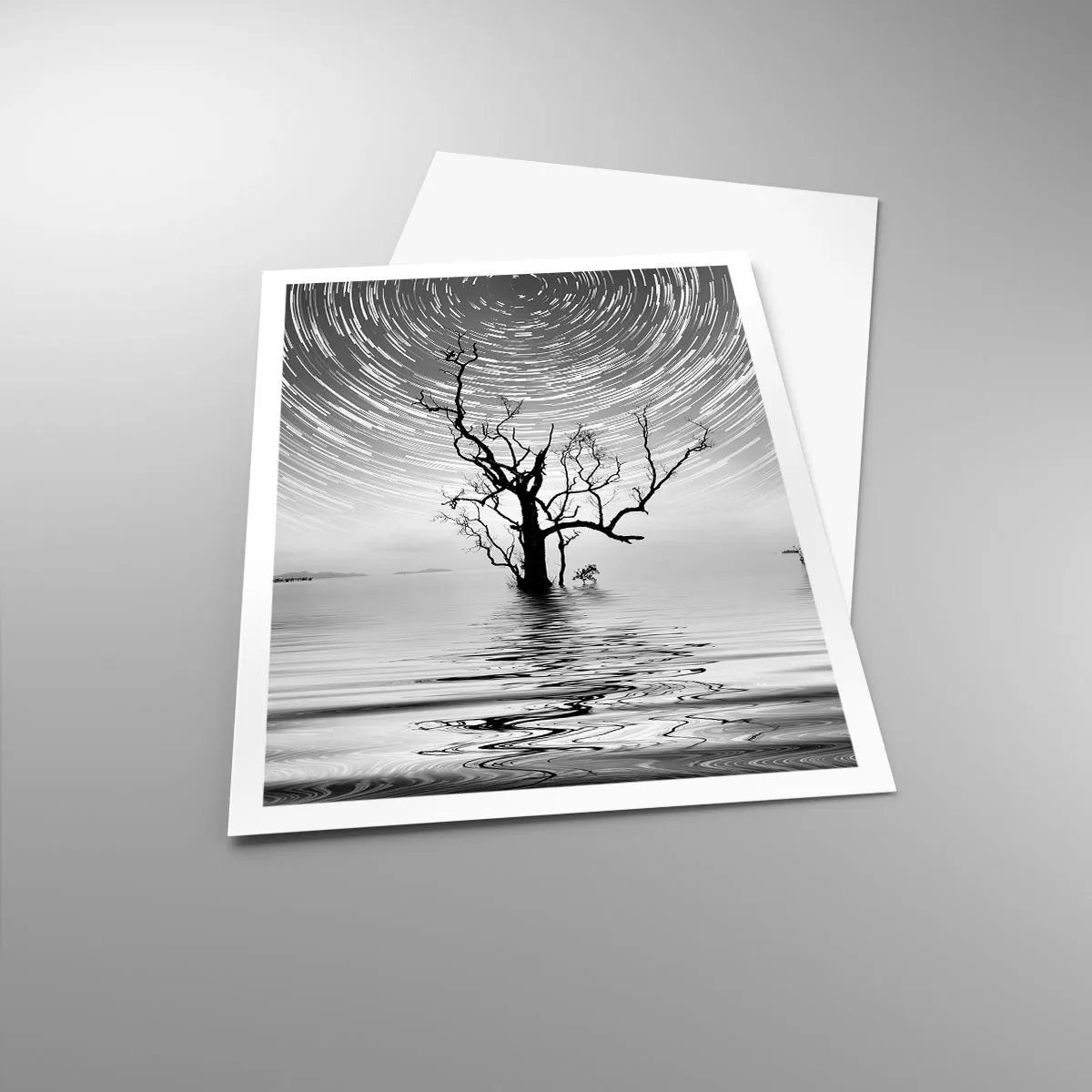 Poster - Symphony of Nature - 70x100 cm