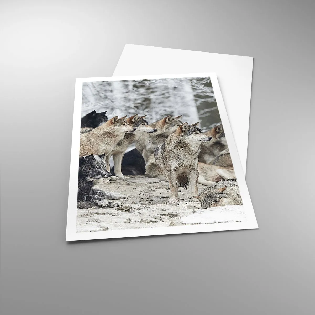 Plakat - Rodzina i przyjaciele - 70x100 cm