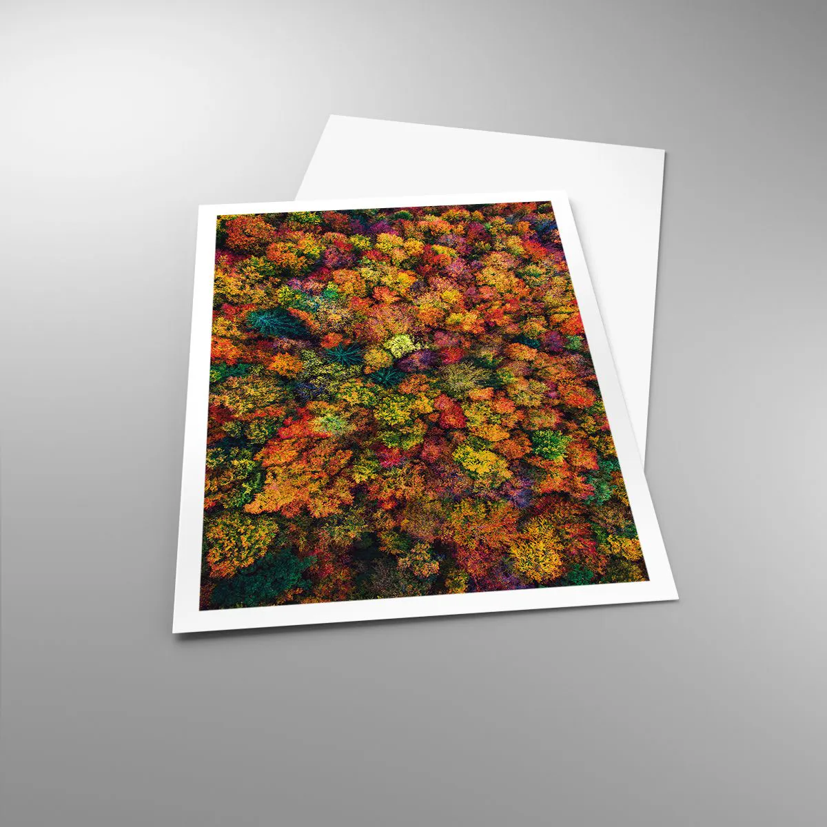 Póster - Un ramo de árboles otoñales - 70x100 cm