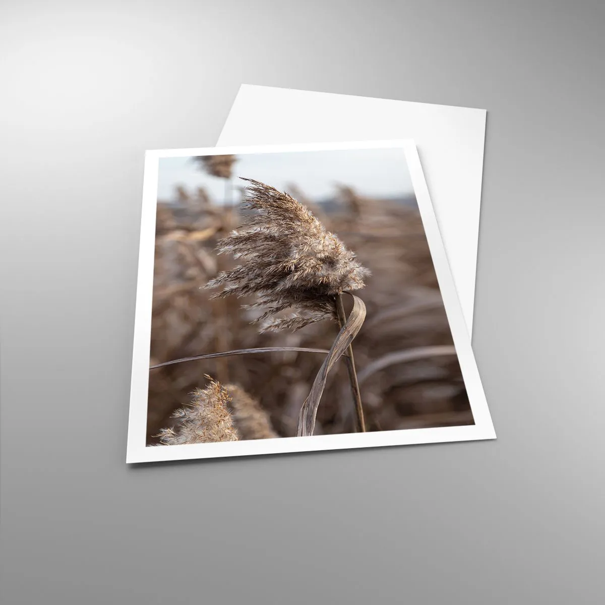 Poster - Zeit, mit dem Wind zu gehen - 70x100 cm