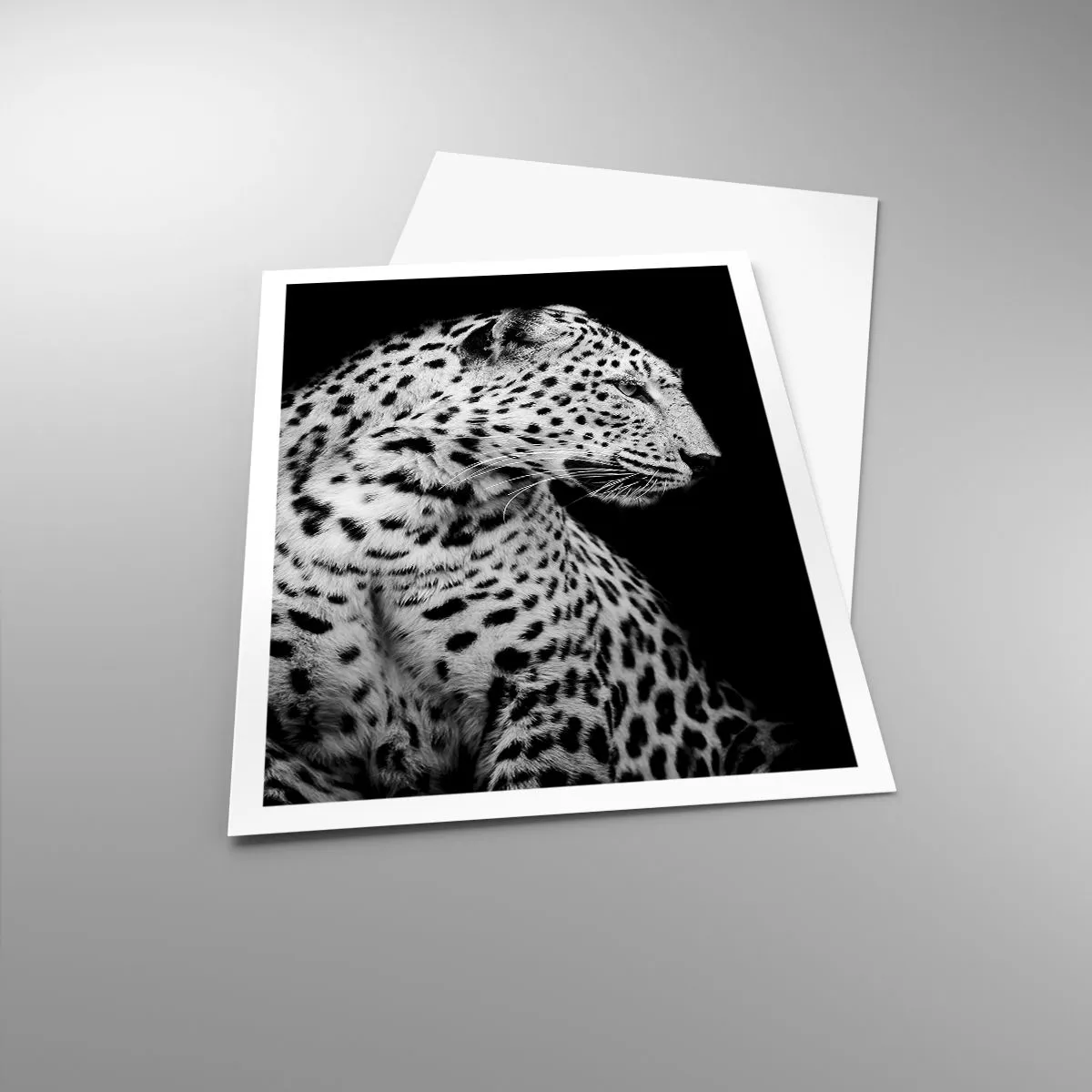 Affisch - Perfekt höger profil! - 70x100 cm