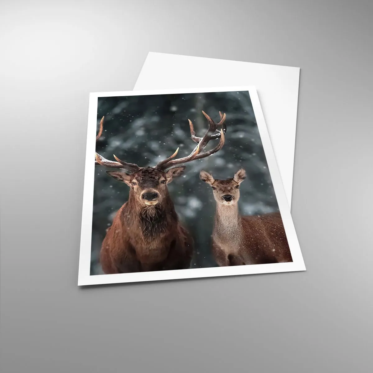 Poszter - Az erdő ura a feleségével - 70x100 cm