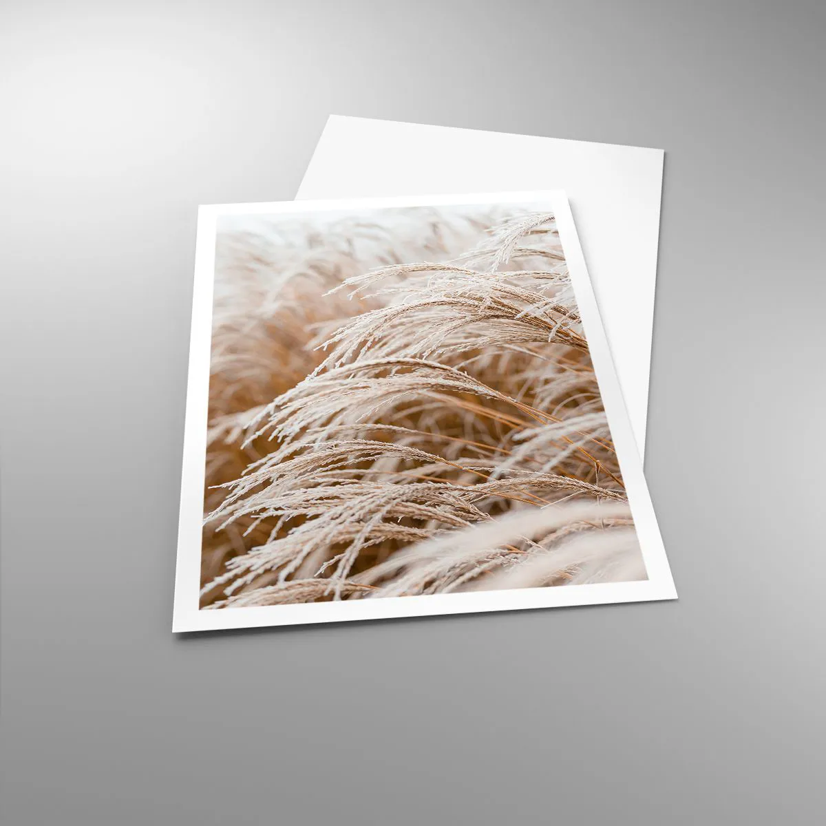 Poster - Verbeuge dich vor der Herbstsonne - 70x100 cm