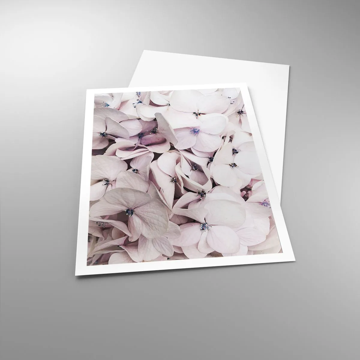 Poster - Într-un potop de flori - 70x100 cm