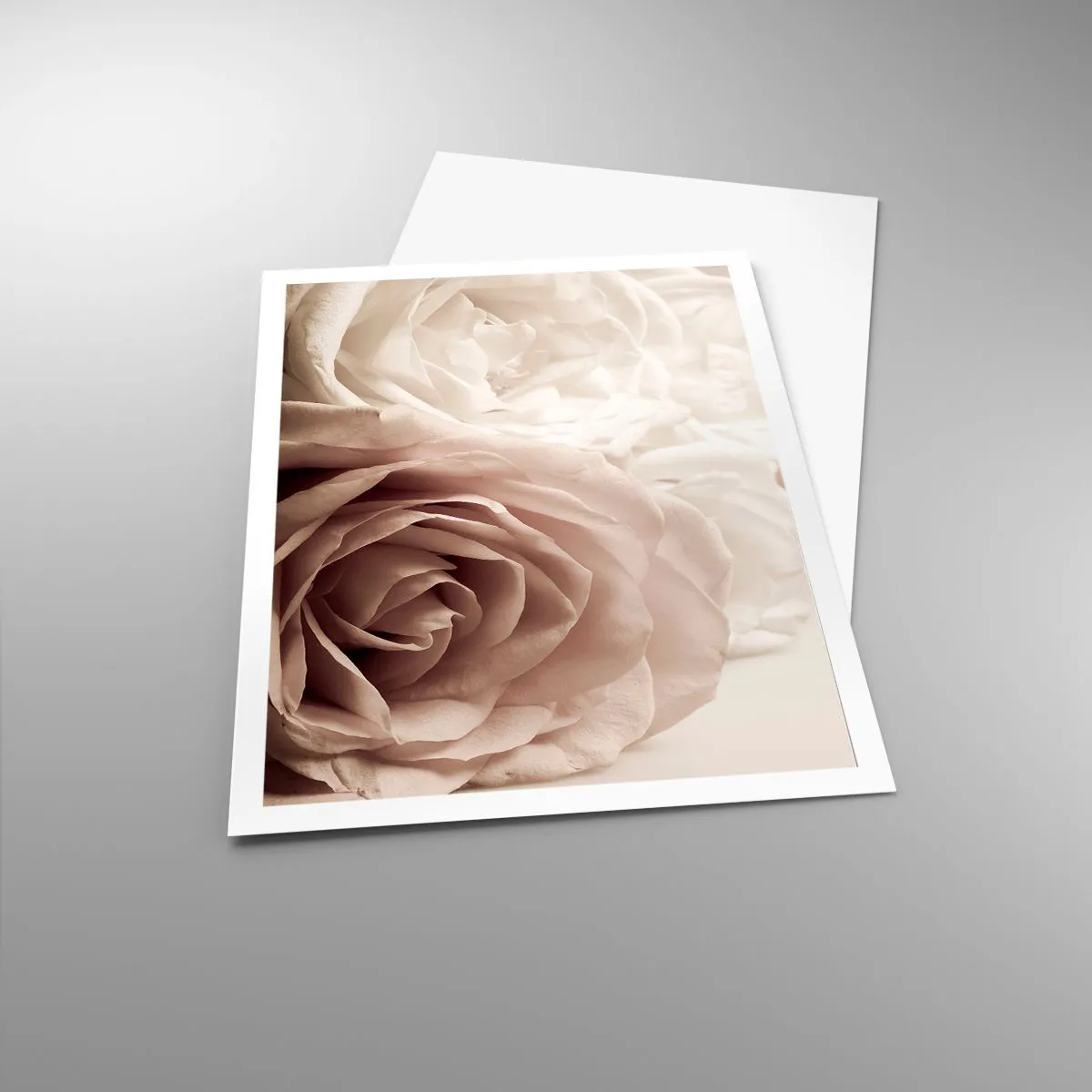Poster - Im Herzen der Rose - 70x100 cm