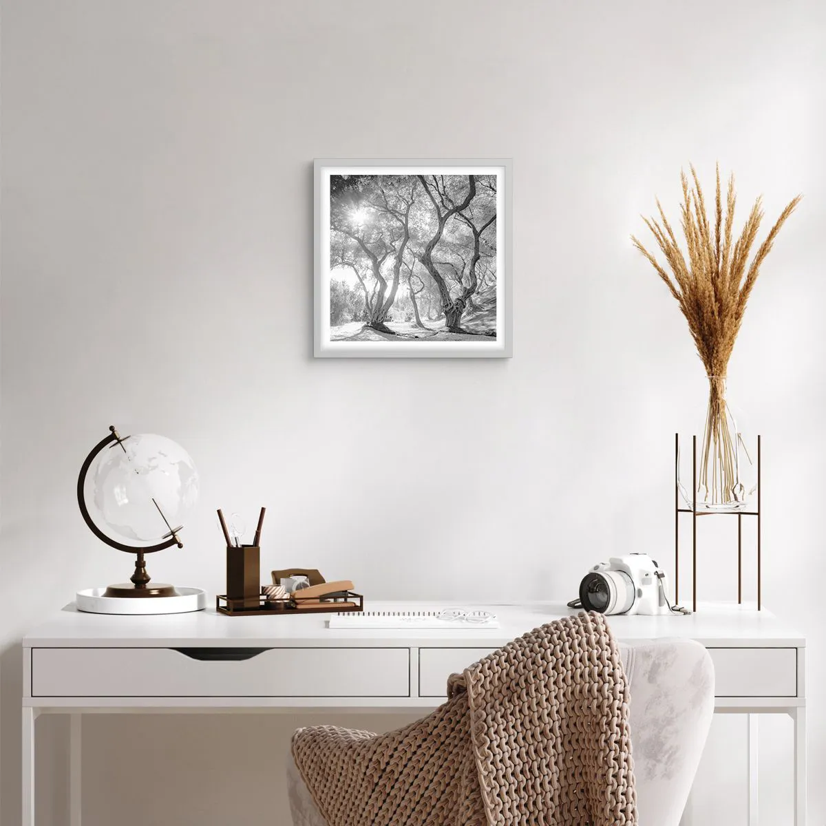 Póster en marco blanco - En un olivar - 40x40 cm